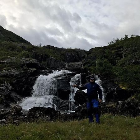 Gullesfjord Camping Екстер'єр фото